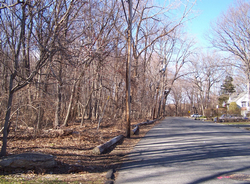 Railside Avenue lots to be sold by the City of White Plains