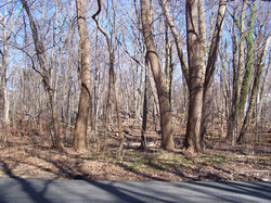 Railside Avenue lots to be sold by the City of White Plains