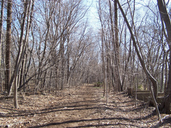 Ridgeway entrance to the Greenway. Site of the former New York, Westchester & Boston Rail Road Sation