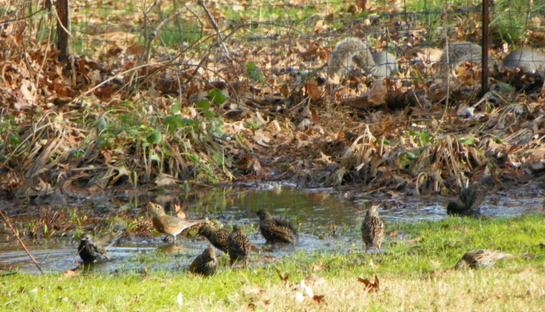 Former Ridgeway Country Club